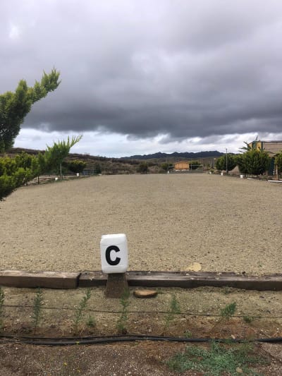 Centro Ecuestre Carlos Viñegla - hipica in Lorca