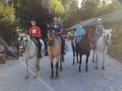 Picadero The cortijillo - hipica in Arroyo Frío