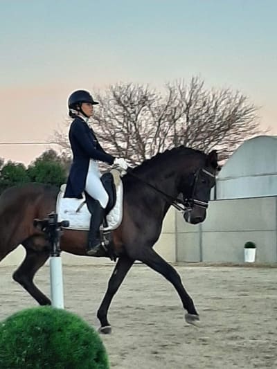 Club Hipico Chipiona - hipica 