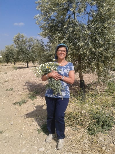 Club Hípico la Bobadilla Da Vinci - hipica in Isla Redonda