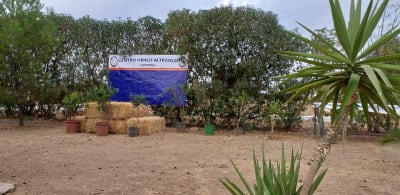 Centro Hípico Altranco - hipica in Carmona