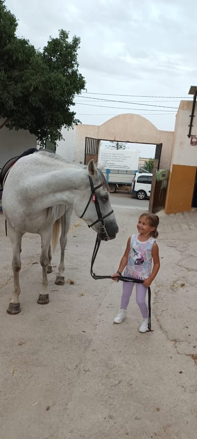 Club Hípico Cortijo Blanco - hipica in Vícar