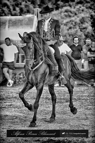 Escuela de Equitacion Alfonso Porras Maestre - hipica in Lucena