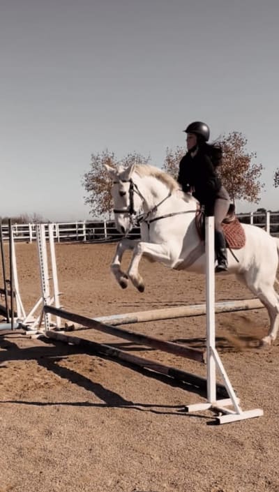 Hipica La Boticaria - hipica in Carmona