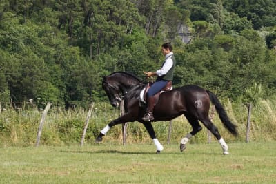 Picadero Antonio Angulo - hipica in Osuna