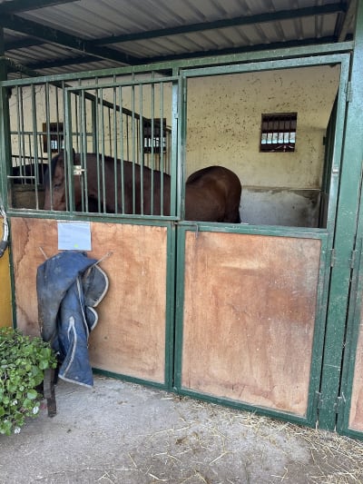 Centro Hípico "La Sierra" - hipica 