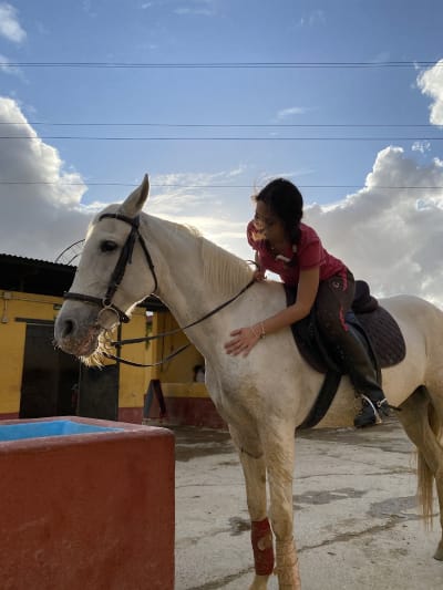 Centro Hípico Dos Santos - hipica in Sevilla