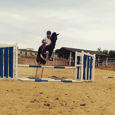 YEGUADA AGUILAR VELASCO - hipica in Carmona