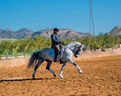 Centro Ecuestre Girasol - hipica in Lorca