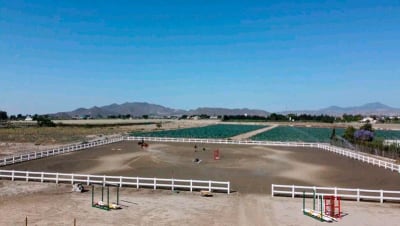 La Estación Ecuestre - hipica in Puerto Lumbreras