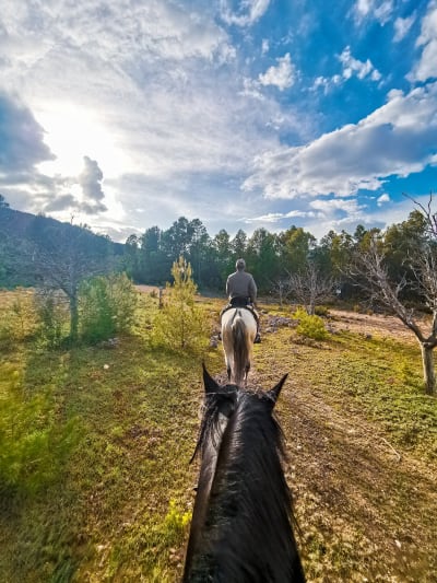 Picadero Pascualón - hipica in Moratalla