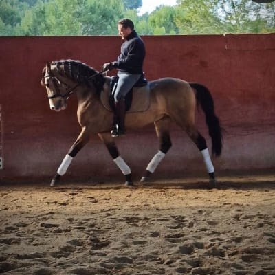 Centro Ecuestre Basilio Mateo - hipica in Hurchillo