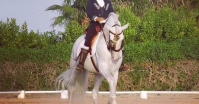 FF DRESSAGE - hipica in Zeneta