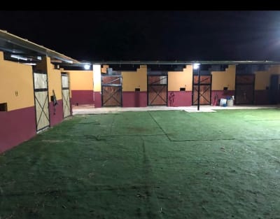 Club Hípico La Caseta - hipica in Granja de Rocamora