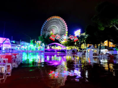 Feria de Albacete - hipica in Albacete