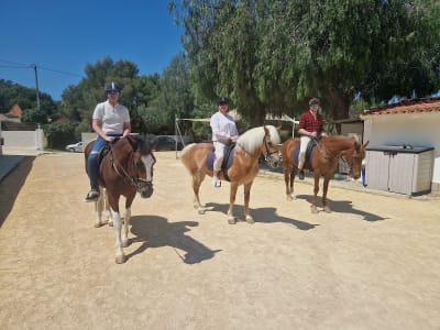 Centre Eqüestre Serra Gelada - hipica in L'Alfàs del Pi