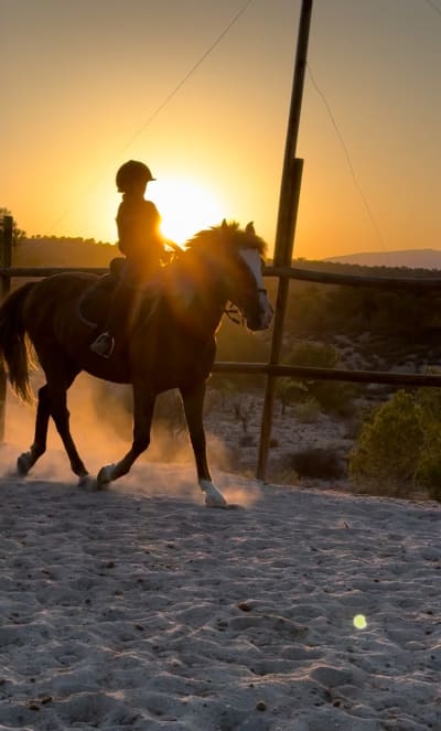 Club Hípico Duende del Sol - hipica in Monóvar