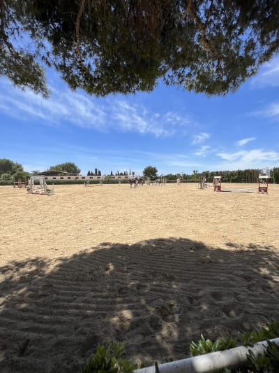 Club Hípico La Pinada - hipica in Elx