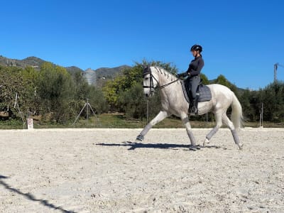 Club Hípic El Benicadell - hipica in Gaianes