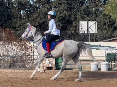 KT endurance escuela de equitación - hipica in Sangonera la Verde
