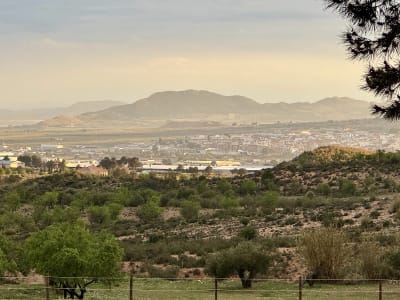 Club hipico el Trebol - hipica in Yecla