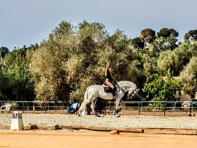 Horse Riding Center - hipica in Orihuela