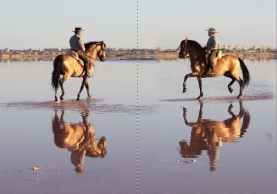 Hípica Villasalada - hipica in Torrevieja