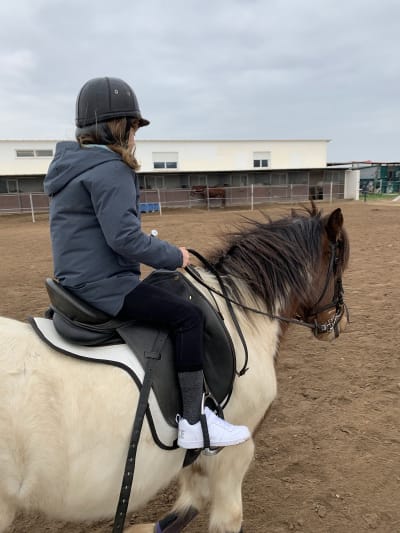 Centro Hípico Lledó - hipica in Casa Blanca