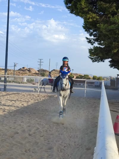 Centro Hípico Nya Concept - hipica 