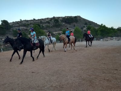 hipica camara - hipica in Camara