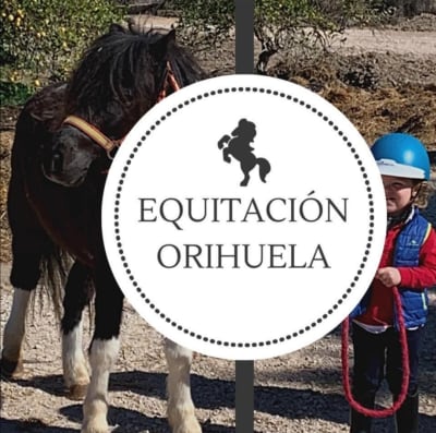 Equitación Orihuela - hipica 