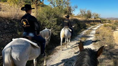 🐎 COLLADO EXPERIENCE | western Horse riding tours - hipica in Algueña