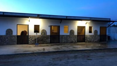 Yeguada Márquez Saez - hipica in Campohermoso