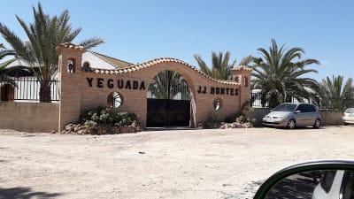 Yeguada JJ Montes - hipica in Lorca