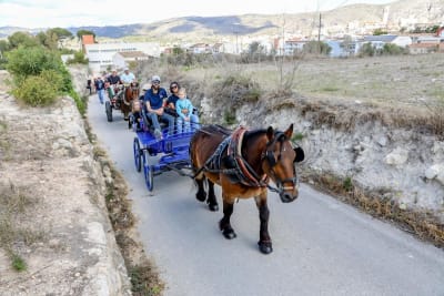 Yeguada Bandera - hipica in Parcent