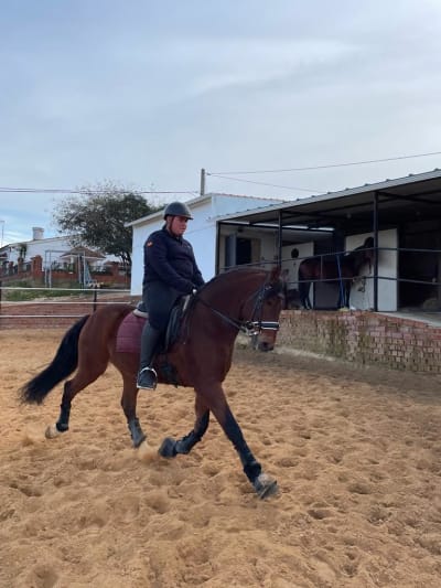 Centro Hípico "El eclipse". - hipica in Traslasierra