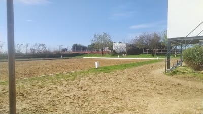 Centro de Equitación Trigueros La Bodega - hipica in Trigueros