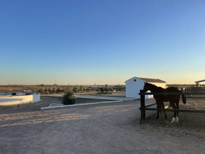 Hípica Entre Viñas - hipica in Rociana del Condado