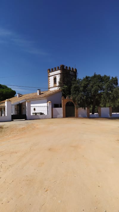 Asociación Hípica Coto de Montemayor - hipica in Moguer