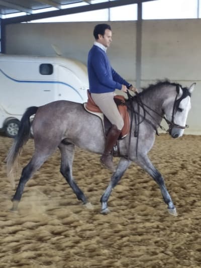 Club Hípico Los Almendros - hipica in Gibraleón