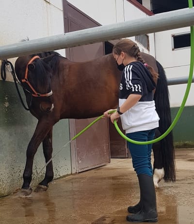 Centro Hípico La Dehesilla - hipica in Bollullos de la Mitación