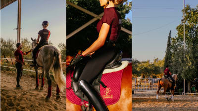 Centro Hípico Dressur - hipica in Mairena del Aljarafe