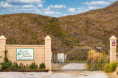 Centro Ecuestre Monteverde - hipica 