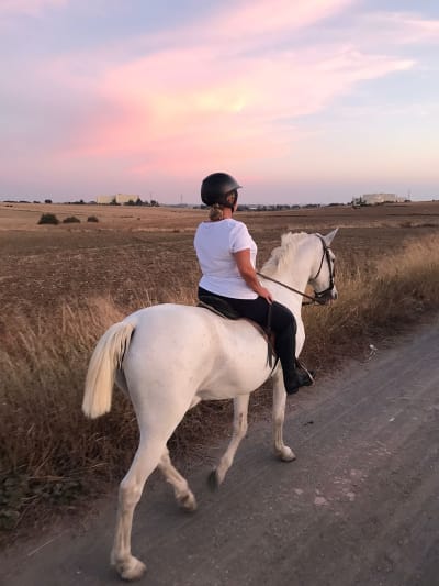 Centro Hípico al Paso - hipica in Huelva