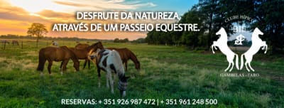 Clube Hipico do Bié - hipica in Faro