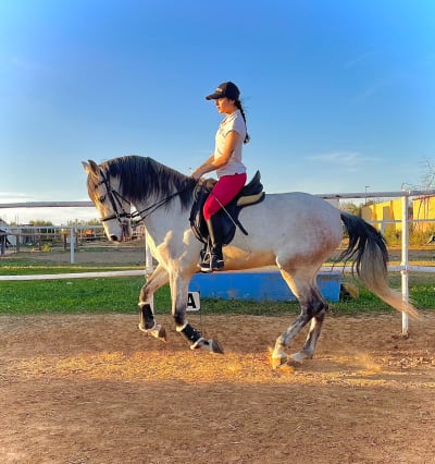 Club Hípico Sergio Guerra - hipica in Sevilla