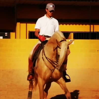 Centro de equitacion 'La Isla' - hipica in Gibraleón