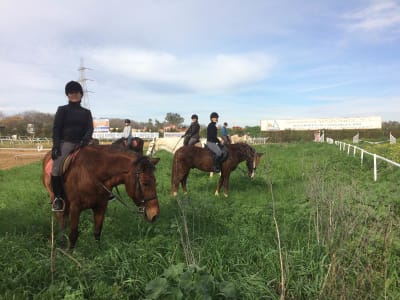 Riding school Riopudio - hipica in Espartinas