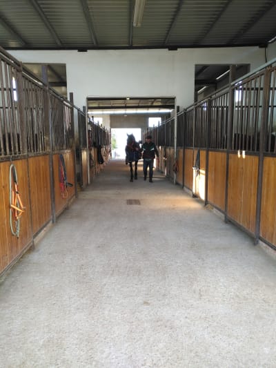 Finca la escapada - hipica in Alcalá de Guadaíra