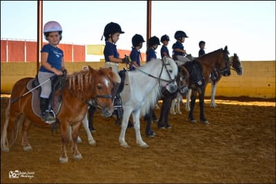 Centro de Formación Hípica Paloblanco - hipica in Utrera